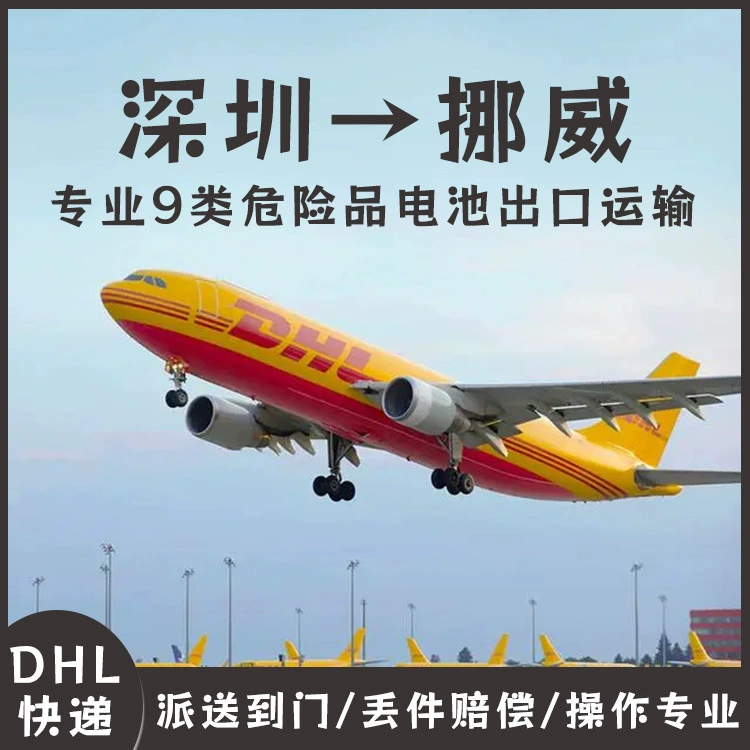 Электрический велосипед литиевая батарея Shenzhen DHL Экспресс по почте в Норвегию Двойная очистка к двери DDU Европейская специальная линия