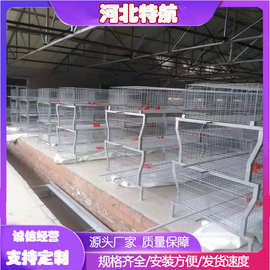 肉鸡元宝笼全自动清粪捡蛋加粗加厚镀锌丝    畜牧养殖设备养鸡笼