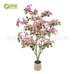 ��������÷�����Ի�c�Ƶ���ػ���Ҿ��҃����쾰�ٻ��[���ž껨