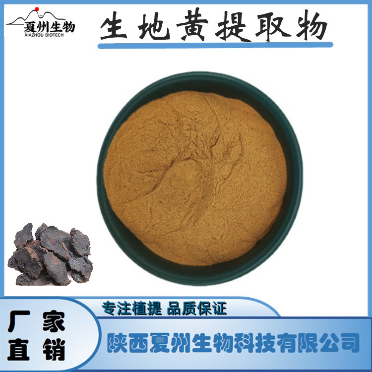 生地黄提取物10/20/30:1比例萃取 生地黄原料 夏州生物