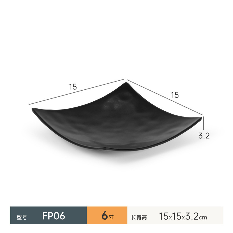 FP06