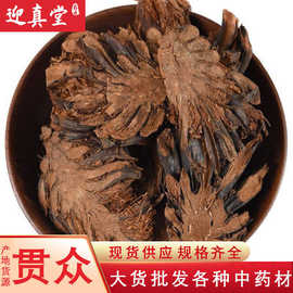 中药材批发供应 贯众 棉麻贯众 观众 新货贯众中药材一站式采购销