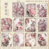 The beautiful day of material paper lost garden series retro art animals and plant theme hand account decorative paper