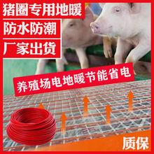 �p���l����|�͸ߜحh����ů늟ᾀ110V���Q����ȡů��|850��