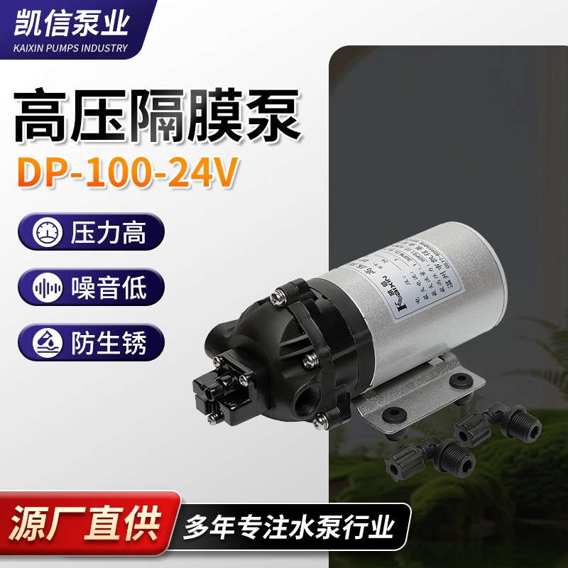 厂家批发规格齐全凯信DP-100微型隔膜泵电动隔膜泵微型自动隔膜泵