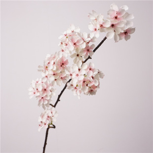 �滨 6�^�滨���滨��c�Y�ò������ļҾ��b껨�廨�[���ٻ���