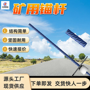 �����V���^�� �ͻ��W���g���܏� ���םB͸ �����V���^��