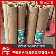 ����Ĩ��늺��W���Ѽ�ɽ�W�׏�1������\�F�z�W����䓽z�W