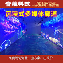 ����ʽ��ý�w�ȵ�ȫϢͶӰչ�dչ�^����ʽͶӰ�OӋ���bһվʽ����