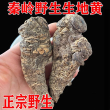 ����Ұɽ���؎X�����S���]Ұ���S������������a�Ȳ��Ҝ��߶��B��