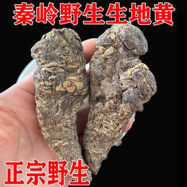 【真野山】秦岭生地黄包邮野地黄地髓搭麦冬滋补喝茶煲汤高端养生