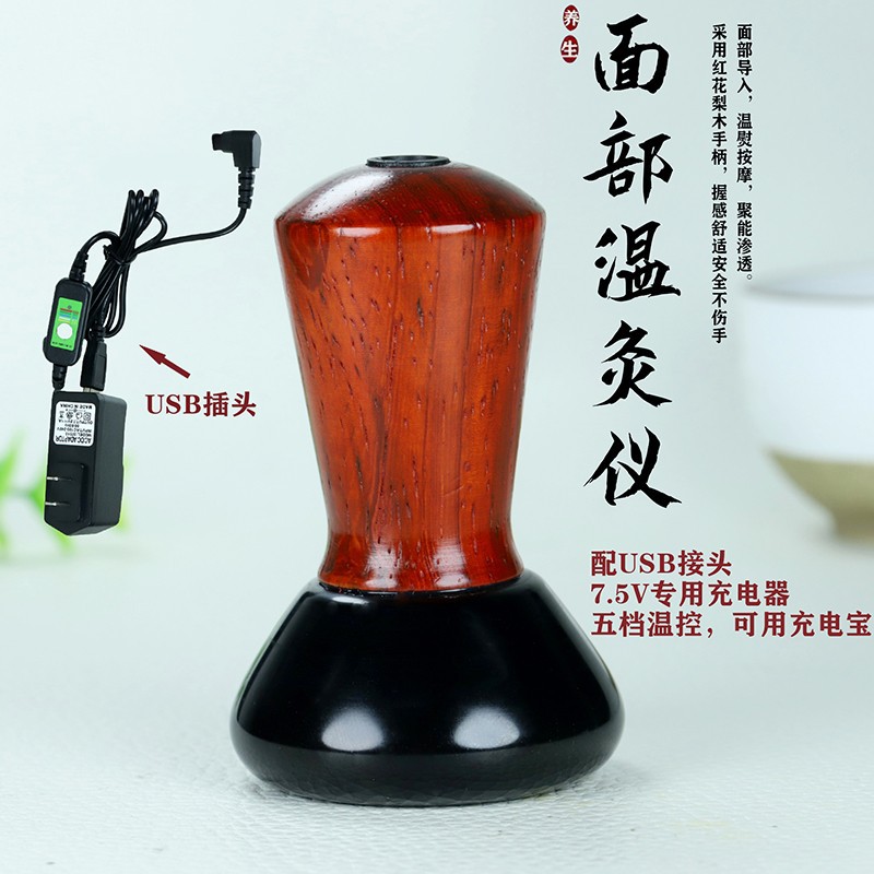Bianstone Warm Moxibustion Instrument Massager Facial Beauty Massager