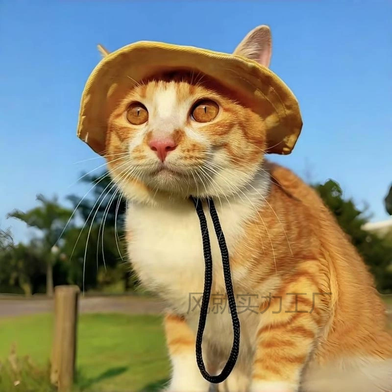 [Горячая распродажа на 30 дней, 1756 шт.] Милая шляпа с открытыми ушками для кошек и собак, летняя солнцезащитная шляпа для домашних животных, солнцезащитная шляпа