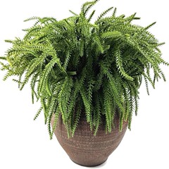 ノーフォークの感触の柔らかいプラスチックの単一の松葉模擬緑の植物クリスマス DY ホームデコレーションオーナメントのクロスボーダー特別供給