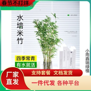 һ�����l����ˮ��ֲ���҃�ˮ�����F���������^���������k���ҾGֲ