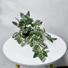 �����bGֲ����÷�ڒ�����ٻ��٠���3D��ӡ��ü�~�����Ҿ��b��