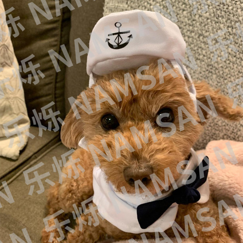 New pet clothing, dog and cat hat, sailor suit, navy suit, nautical suit, cloak manufacturer