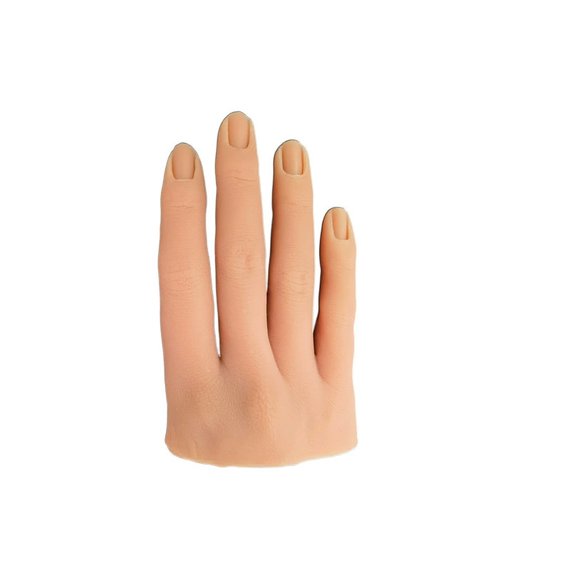 Silicone practice, hands model