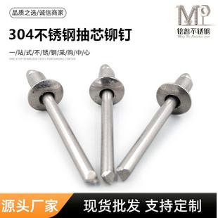 304���P��T��_������îᔳ���M3.2M4M4.8M5�A���^���^���P