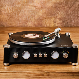 Specialized Record Player with Vinyl Record Player, Gramophone with Bluetooth Function, Metal Tonearm, Turntable, Stereo Sound Effect