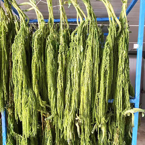 Eternal Flower Loris DIY Ears Artificial Flower Dried Flower Wedding Event White String Rice Flower Art Soft Decoration Home