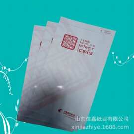 厂家定制机动车清洁袋 呕吐袋 垃圾袋 淋膜尖底袋 可定制logo印刷