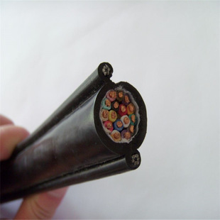 Supply Handle Hoist Line Rvv2G 10*1.5 Driving Control Line Electric Hoist Double Steel Wire Soft Cable Line