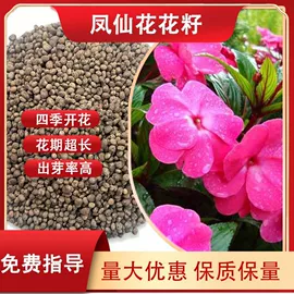 一二年生花卉;林业副产品;其他园林植物