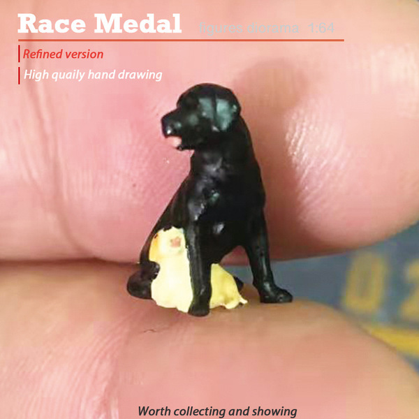 Racemedal1/64 Pet Dog Model Model Model Scenario Carabradi Teddy…