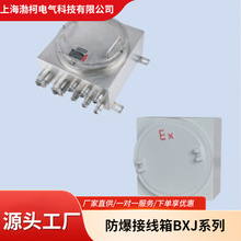 ӾBT4/BT6/IIB/IICP316L