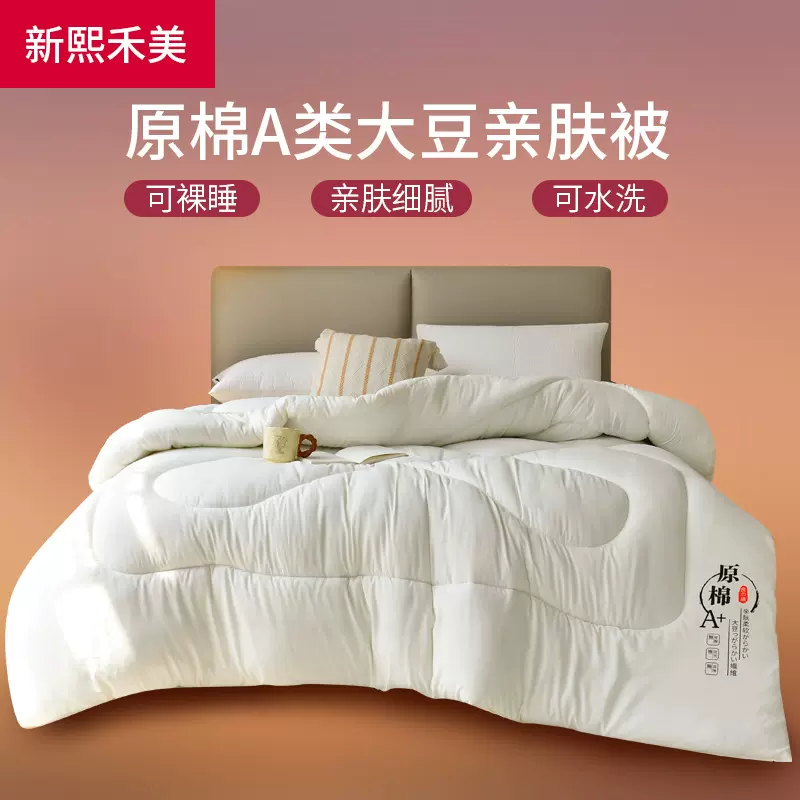 特价加厚保暖原棉被单双人被子四季春秋被冬被芯学生宿舍被褥子