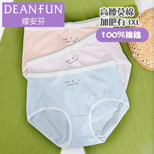 ������2����װĪ��������3XL��ɫ͸������ƽ���ڿ�Ůʿ15433