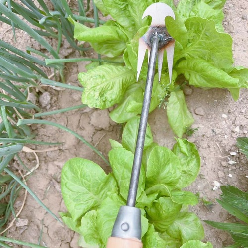 Weed-removal wizard, grass-pulling tool—four-pronged hand-held weeding device, hoe for loosening soil and digging wild vegetables, small rake, mini-hoe, agricultural implements