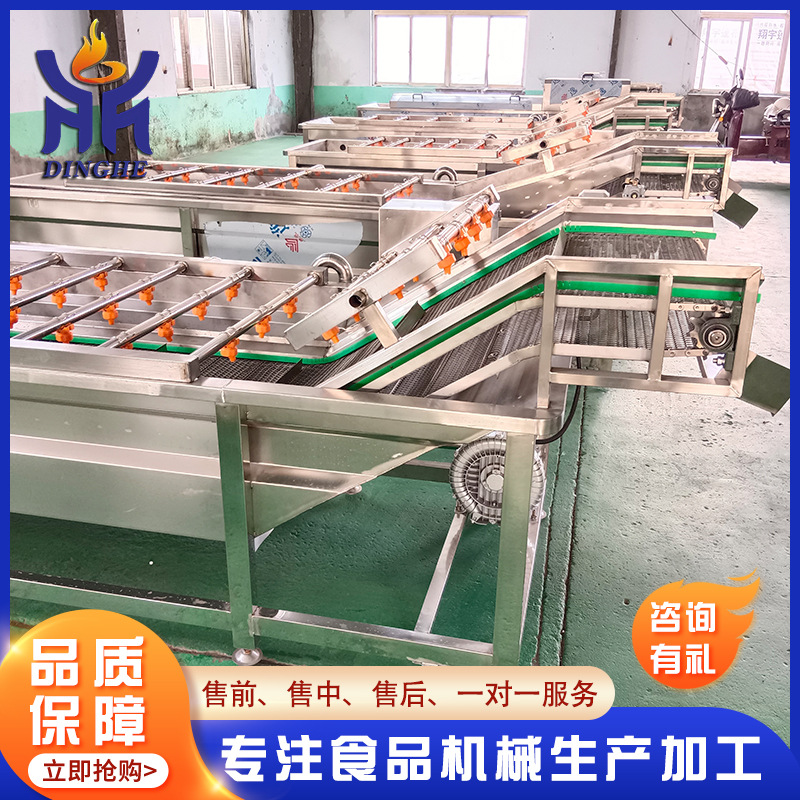 大型商用果蔬清洗机 全自动洗菜机 粽叶清洗机高压喷淋清洗机厂家