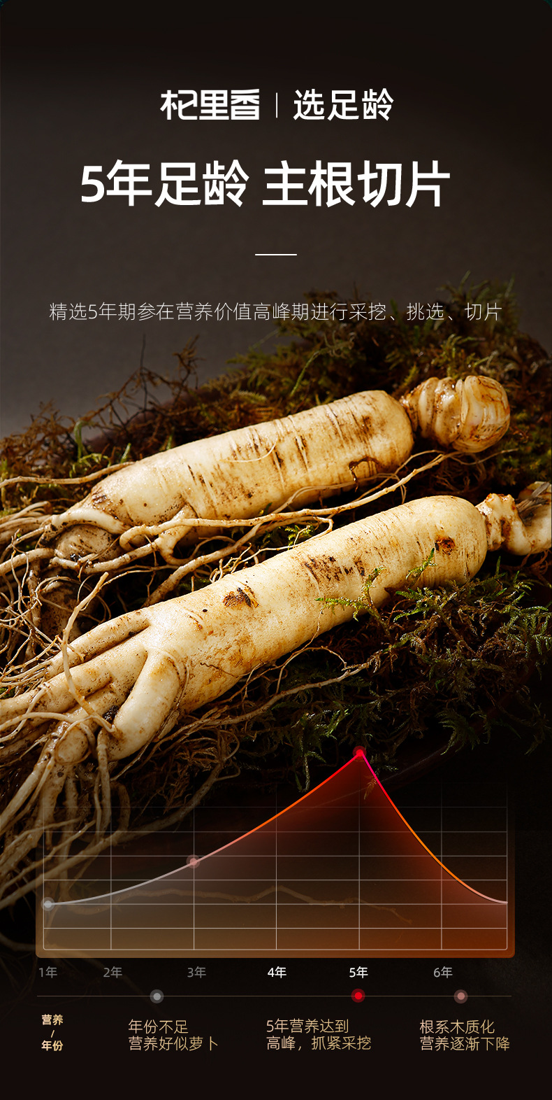 American Ginseng Slices 250g Changbai Mountain Five Year Root Slice for Soup and Tea quality and texture