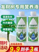 发财树肥料专用肥绿植物家用室内盆栽水培黄枯叶通用营养液水溶肥