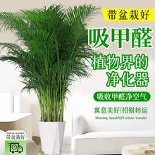 �ļ��������ڸ��FҬ�Ӵ��;Gֲ�����҃ȿ͏d�k���Һ��B�辰����ȩ