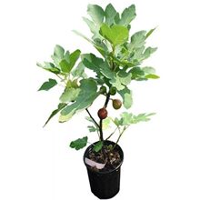 �N������o�����������Ե���ͥԺ�ش���Y�����ϱ����Nֲ����