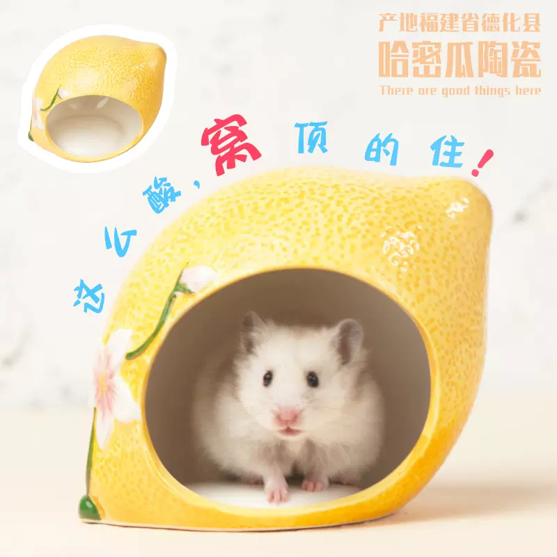 柠檬陶瓷仓鼠窝金丝熊降温屋消暑窝降温睡觉窝房子冰屋仓鼠用品