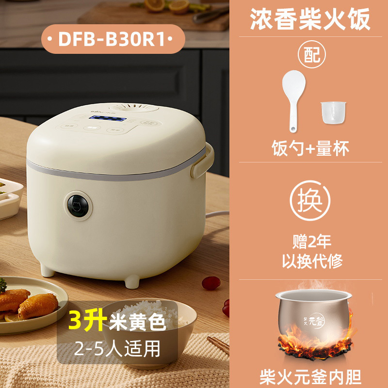 DFB-B30R1