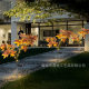 Solar led outdoor courtyard lawn lamp floor plug-in simulation branches maple leaf garden floor lamp decorative atmosphere lamp