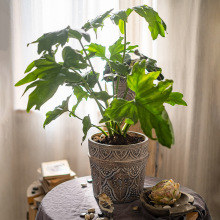 经典元素红陶花盆花器透气土培绿植种植插花阳台花园艺术花瓶