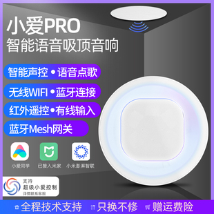 ���]С��������Pro���ܼҾ��Z�����Ɵo���{��Ƕ��ʽ�������