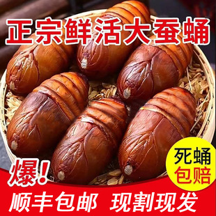 ��S���]�|���خa���QӼ���r���Ӽ����S�QӼ�|�����OӼ�sӼ500g