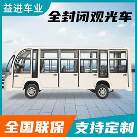 电动观光车;其他电动车;高尔夫球车
