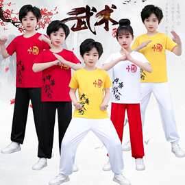 儿童武术服装纯棉功夫太极练武练功服幼儿训练短袖啦啦队表演出服