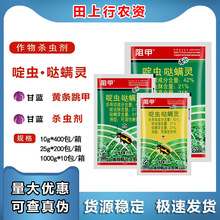 阻甲 42%啶虫脒哒螨灵青菜蔬菜生菜黄条跳甲高效专用杀虫剂25克g