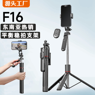 F16�֙C���ėU���_��ȫ�����D���շ������α�y�{���֙C֧��1.7��