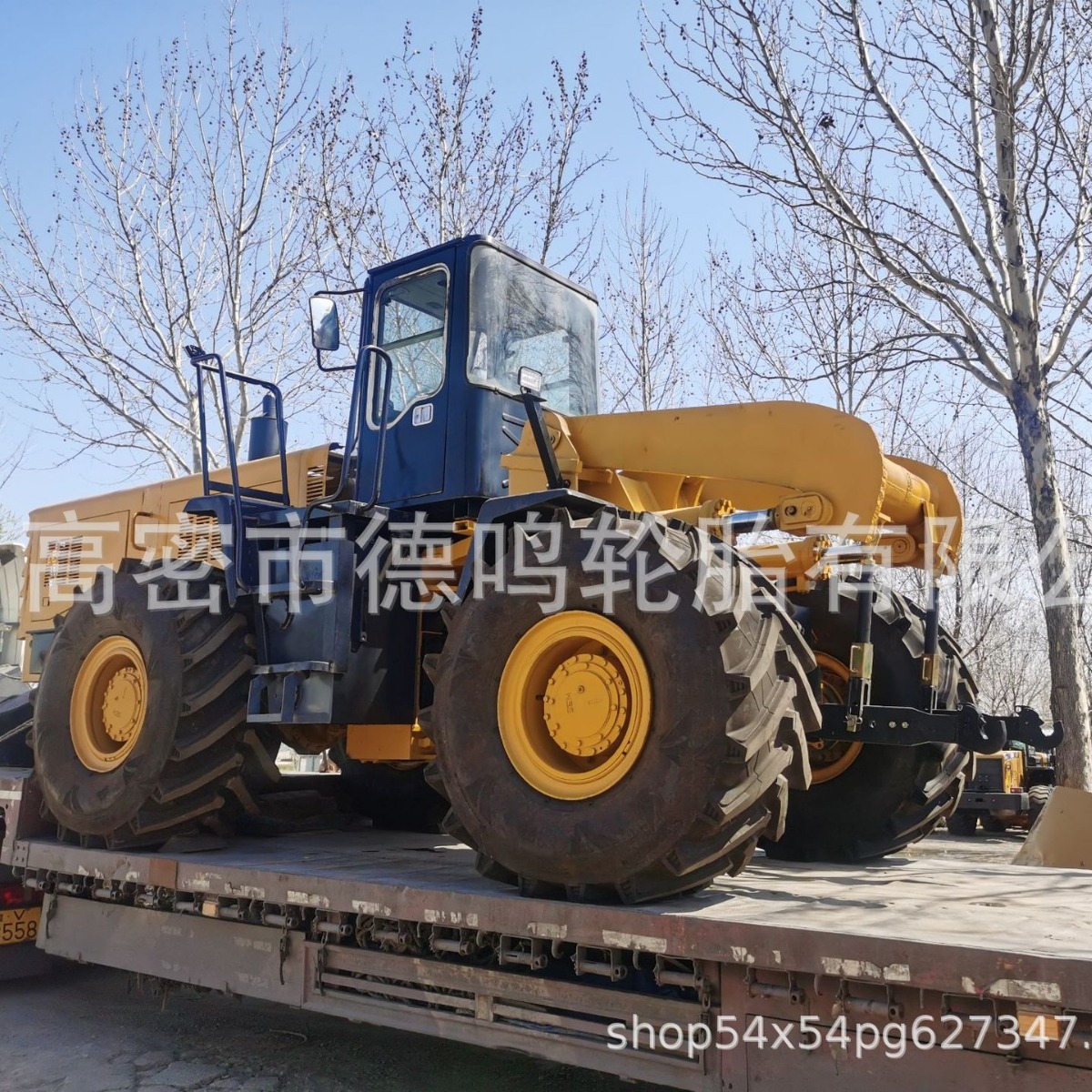 Zengdingsheng 650/90R 25 800/900 65R32 cargador modificado tractor Neumático radial