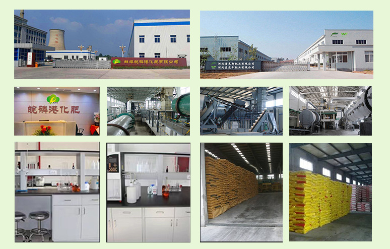 15详情工厂实拍2